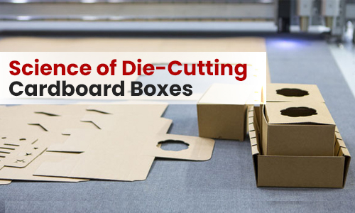 Science of Die-Cutting Cardboard Boxes