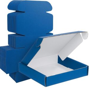 Blue Mailer Box (White Inside) 
