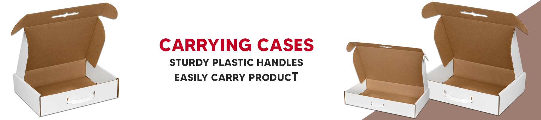Carrying Cases